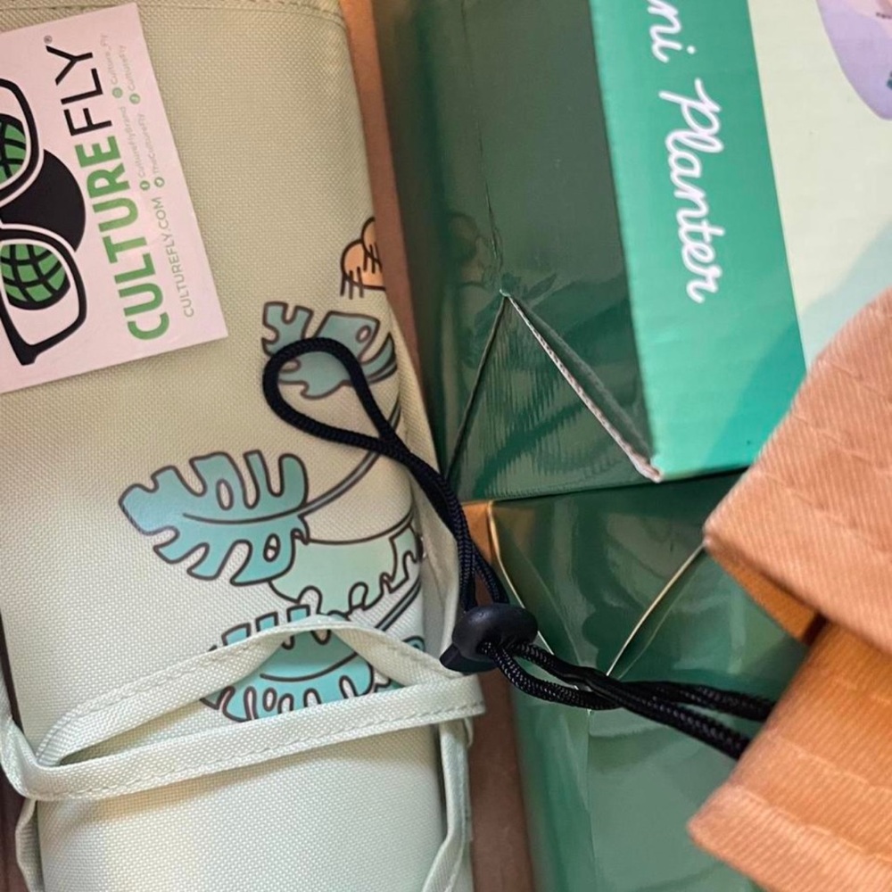 Pusheen Box - Picture 3 of 3